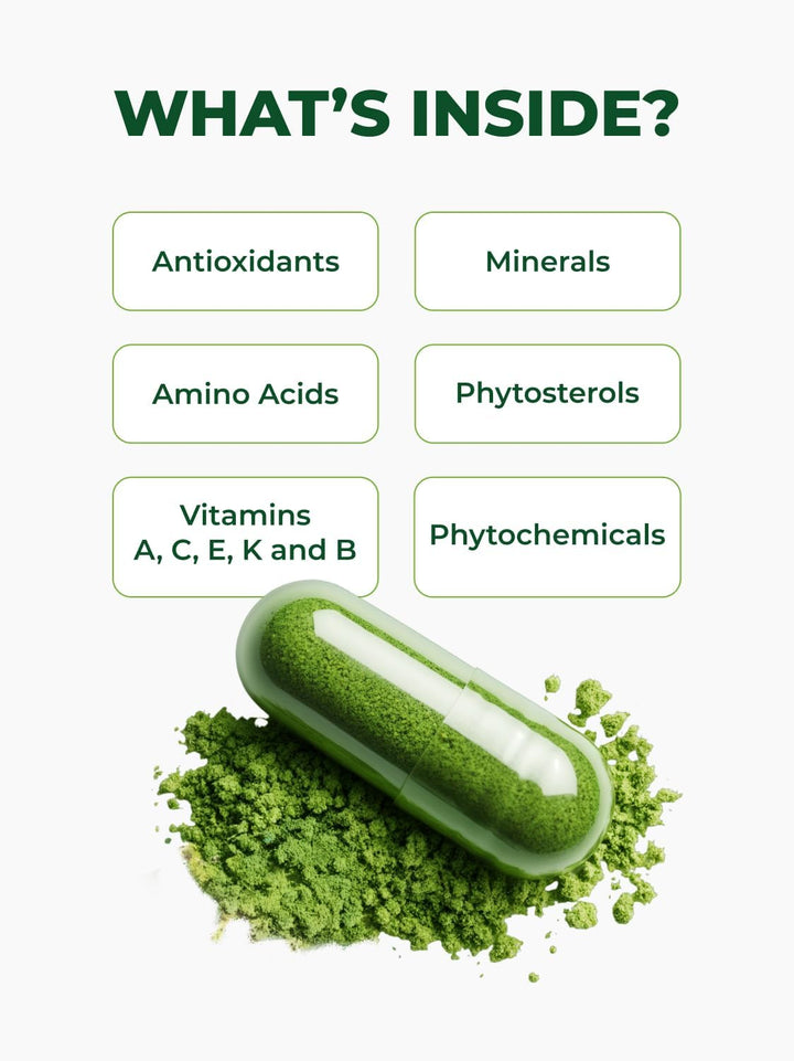 Pura Vida Organic Moringa Capsules 500mg - Pure Single Origin Leaf Powder (120 Count)