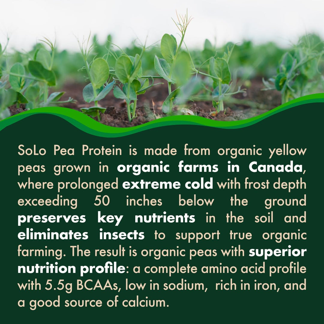 SOLO Organic Pea Protein Isolate – 100% Vegan, Non-GMO, Low Sodium Plant-Based Protein Powder, Unflavored, Keto & Paleo Friendly, 2.7 lbs