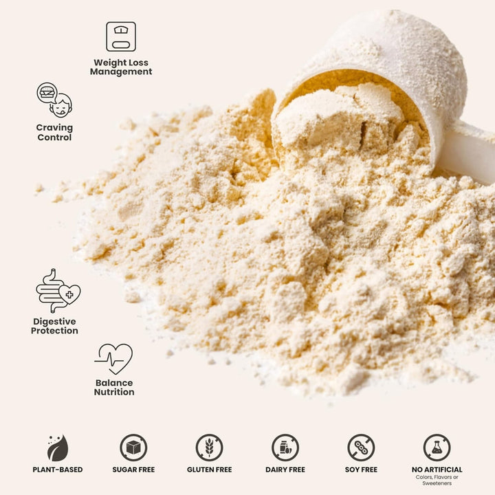310 Nutrition All-In-One Vegan Meal Replacement Shake – High Protein, Low Carb, Keto & Paleo Friendly – Gluten-Free, Naturally Sweetened - 28 servings