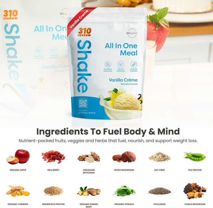 310 Nutrition All-In-One Vegan Meal Replacement Shake – High Protein, Low Carb, Keto & Paleo Friendly – Gluten-Free, Naturally Sweetened - 28 servings