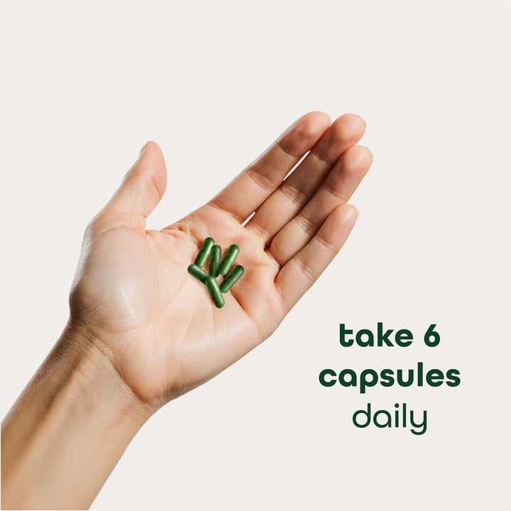 Zena Nutrition Organic Super Greens  | 70+ Fruit & Veggie Superfoods