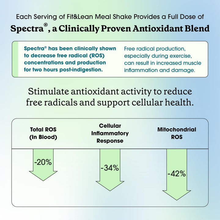 Fit & Lean Meal Shake – Meal Replacement (10 Servings)