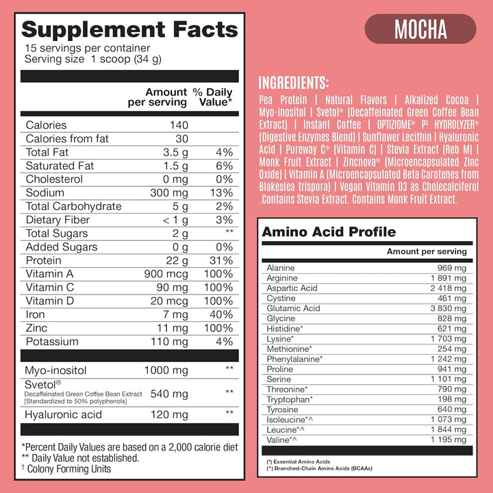 BIRDMAN Fitmingo Vegan Protein Powder Blueberry, 23g Plant Protein