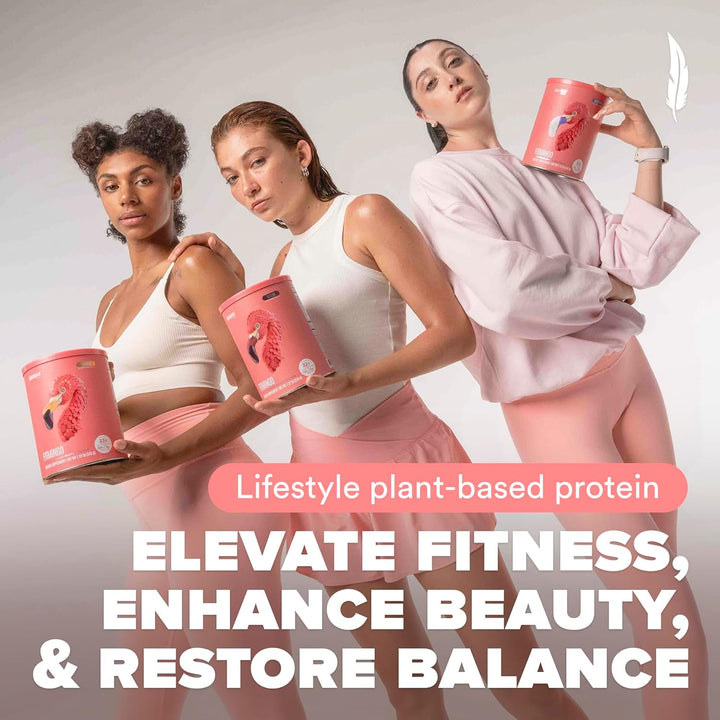 BIRDMAN Fitmingo Vegan Protein Powder Blueberry, 23g Plant Protein