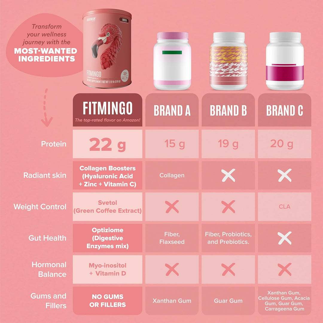 BIRDMAN Fitmingo Vegan Protein Powder Blueberry, 23g Plant Protein