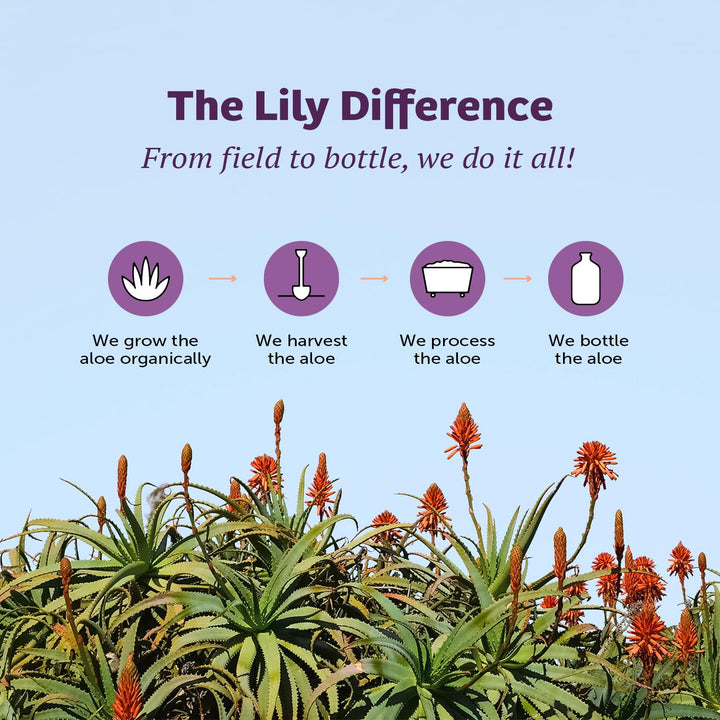 Lily Of The Desert 99% Organic Aloe Vera Gelly Moisturizer with Vitamins C & E, 16 fl oz