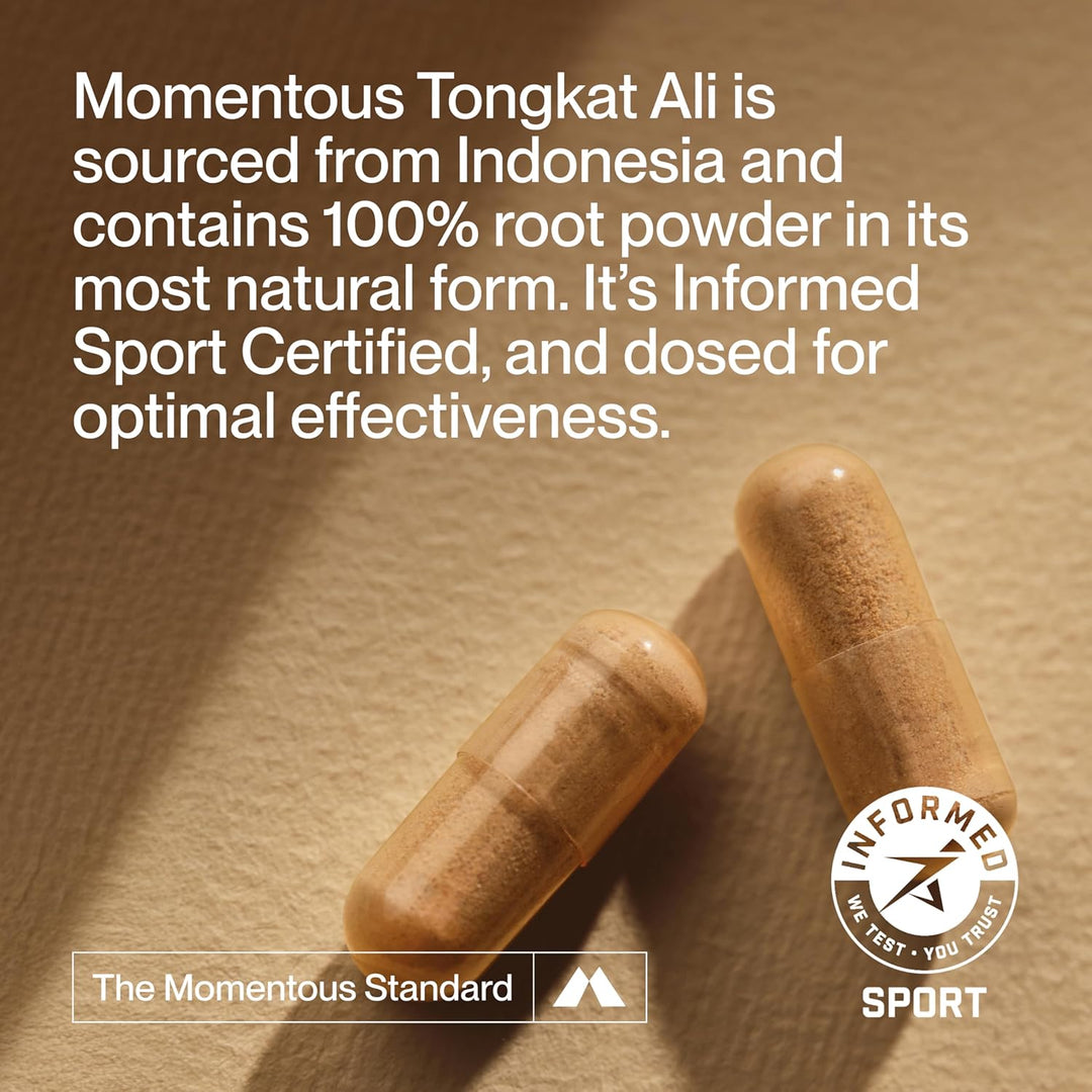 Momentous Tongkat Ali – Herbal Root Powder for Men & Women | 400 mg | 30 Servings